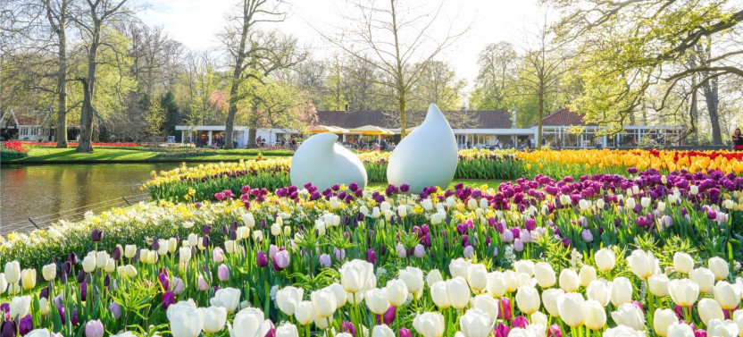 Keukenhof Transfer plus Full Day Entrance Keukenhof