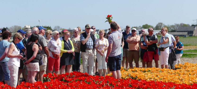 Keukenhof & Tulip Farm Visit, and Windmill Cruise