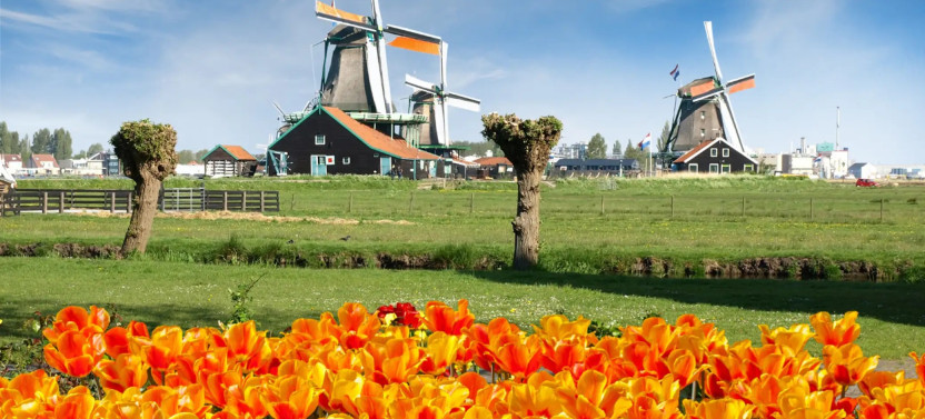 Keukenhof and Zaanse Schans Windmills Day Trip