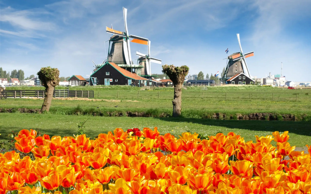 Keukenhof and Zaanse Schans Windmills Day Trip