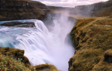Your Friend in Reykjavik1