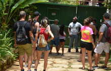 Fun Tours Jamaica6