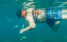 Simba Sea Trips Co. Ltd12