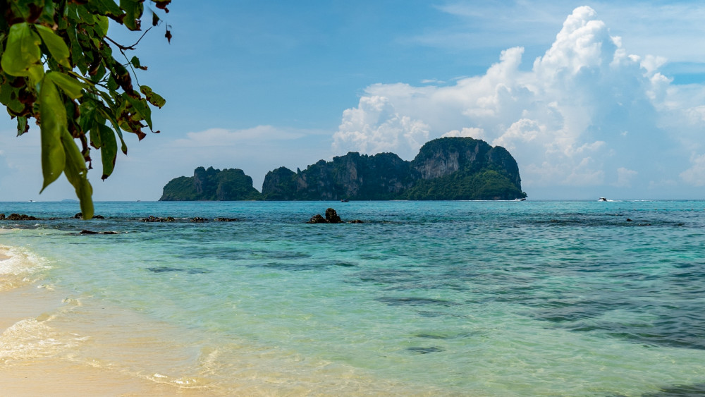 Simba Sea Trips Co. Ltd