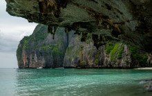 Simba Sea Trips Co. Ltd15