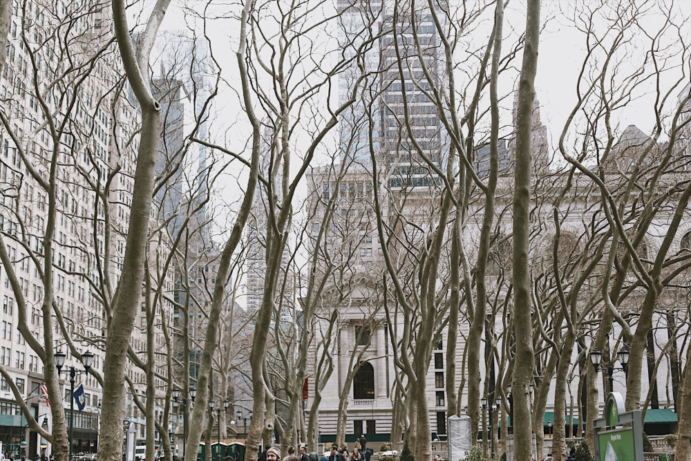 Babylon Tours - New York City
