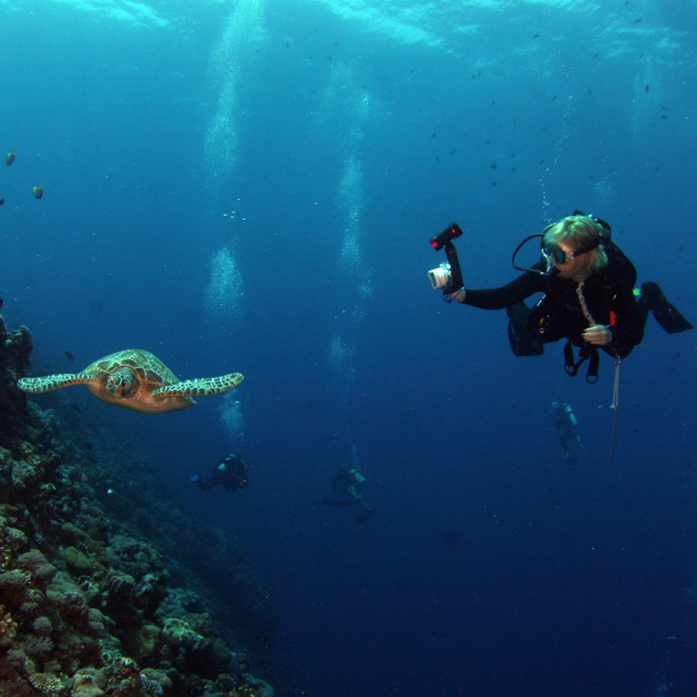 Fun Dive Machine in Cozumel or Playa del Carmen (For Certificates)