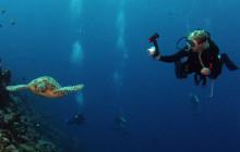 The Dive Machine1