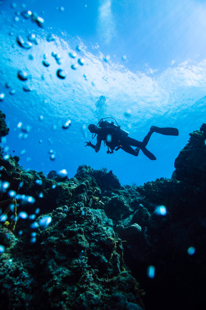 Fun Dive Machine in Cozumel or Playa del Carmen (For Certificates ...