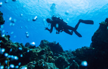 The Dive Machine10