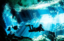 The Dive Machine1
