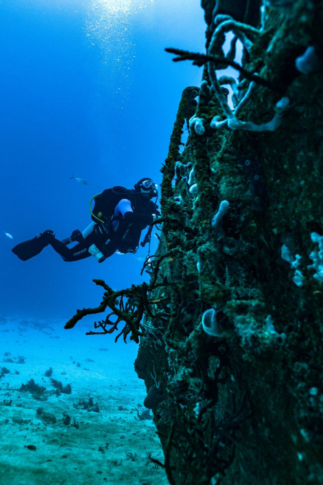 Wreck Dive Machine in Playa del Carmen: Exclusive Dive for Certified Divers