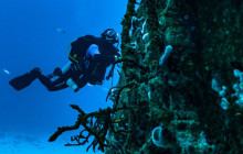 The Dive Machine1