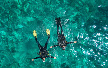 The Dive Machine2