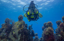 The Dive Machine4