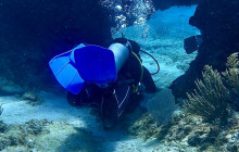 The Dive Machine19