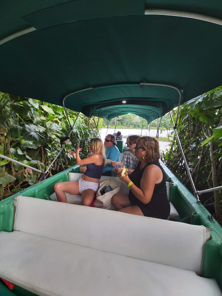 Gatún Lake Sightseeing and Monkey Tour