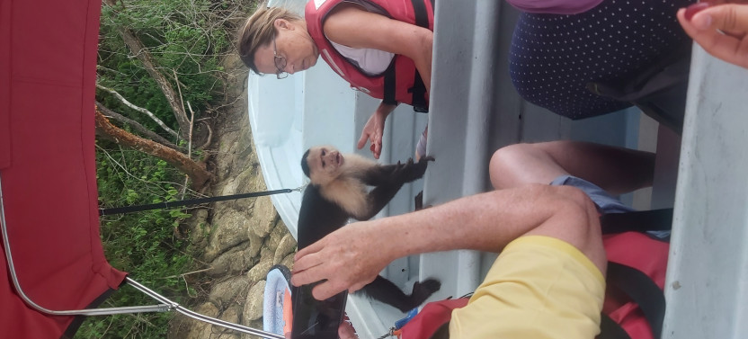 Gatún Lake Sightseeing and Monkey Tour