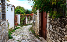 Avalon Travel Services5