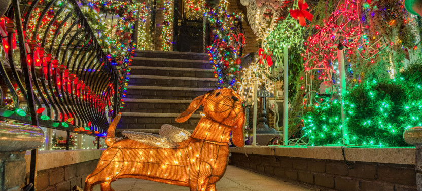 NYC Dyker Heights Holiday Lights Tour