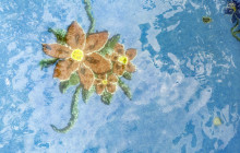 Blue River Resort & Hot Springs4