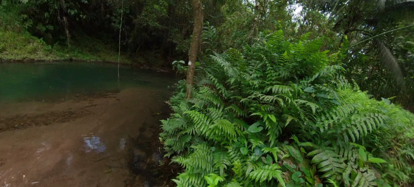 2-Day Immersive Escape: Tropical Forests and Fishing Villages of Martinique