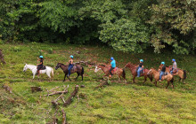 Blue River Resort & Hot Springs3