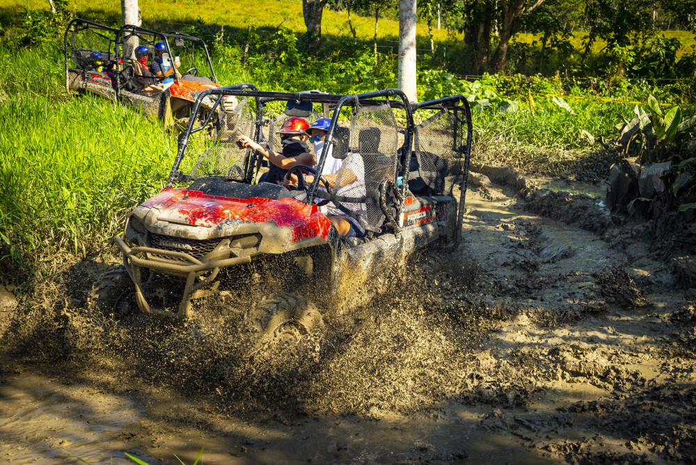 Triple Jungle Adventure