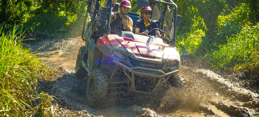 Triple Jungle Adventure