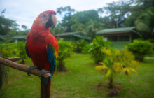 Maniti Camp Expeditions11