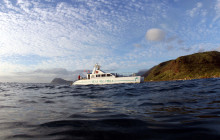 Ocean Joy Cruises10