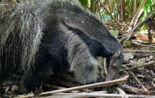 Maniti Camp Expeditions9