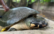 Maniti Camp Expeditions11