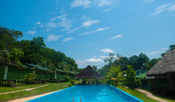 A picture of 5D/4N Jungle Explorer