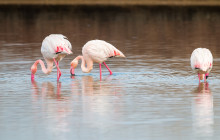 Avalon Travel Services3