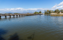 Avalon Travel Services6