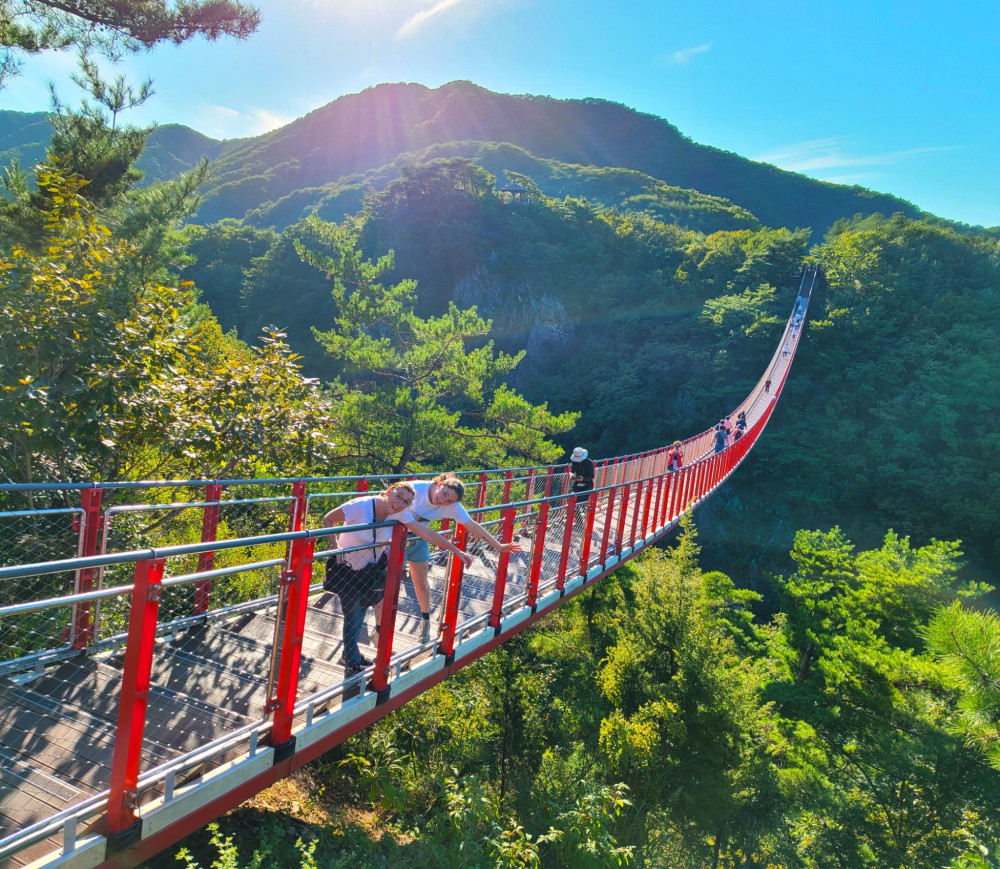 DMZ Tour  + Mt. Gamaksan Suspension Bridge Overview Tour