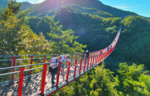 PLK Travel1