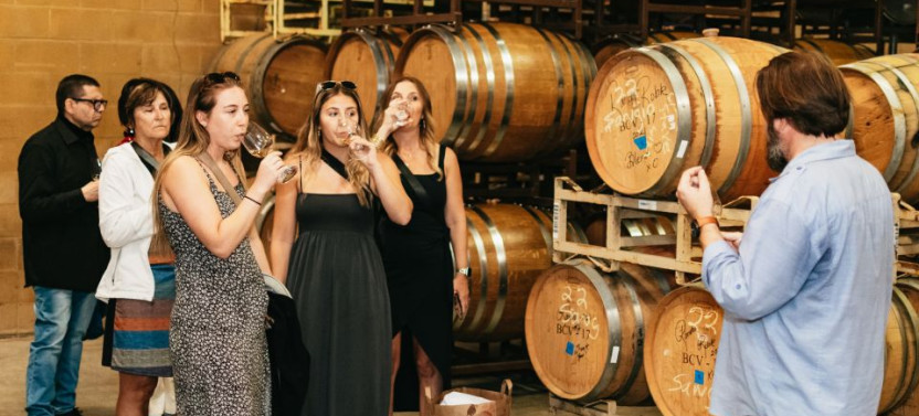 From San Francisco: Half-Day or Full-Day Wine Country Tour with Tastings