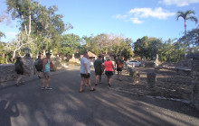LPC Tours by IRB Turismo12