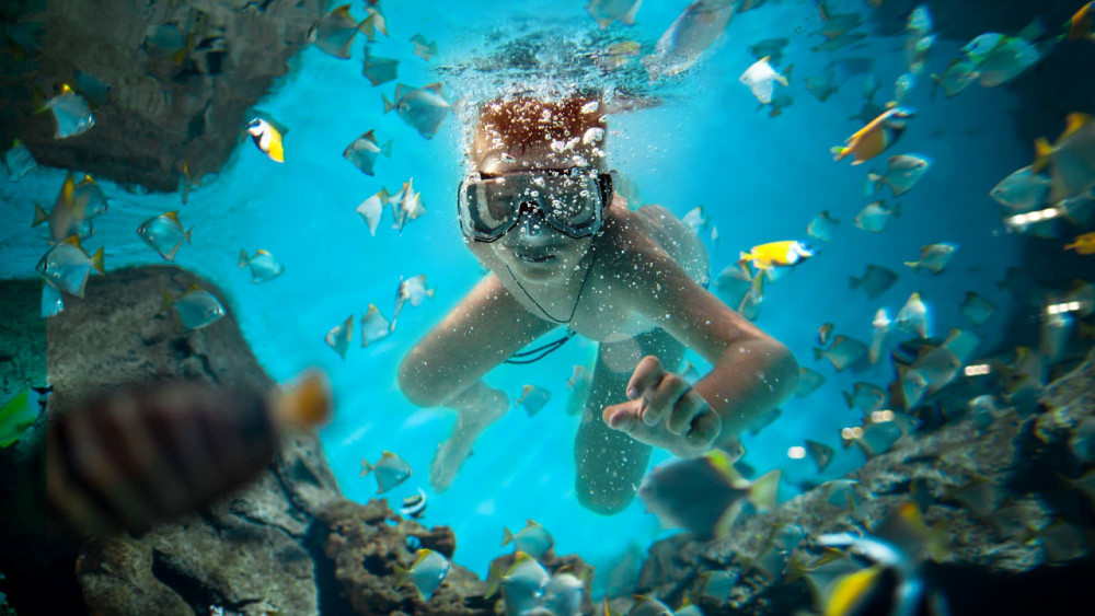 Catalina Island Snorkeling Adventure & Altos de Chavon From La Romana