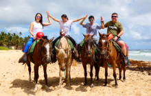 LPC Tours by IRB Turismo8