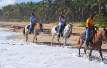 LPC Tours by IRB Turismo9