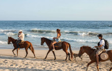 LPC Tours by IRB Turismo12
