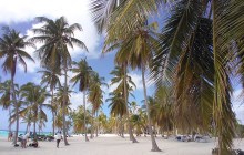 LPC Tours by IRB Turismo13