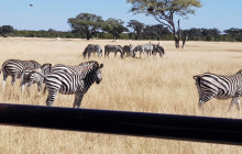 Shockwave Adventures9