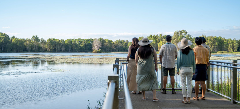 Waterfall, Wetlands and Scenic Rail Guided Day Tour from Cairns