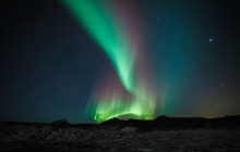 Your Friend in Reykjavik4