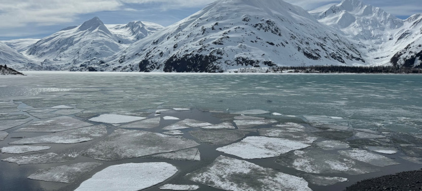 Private Turnagain Arm Wildlife Tour