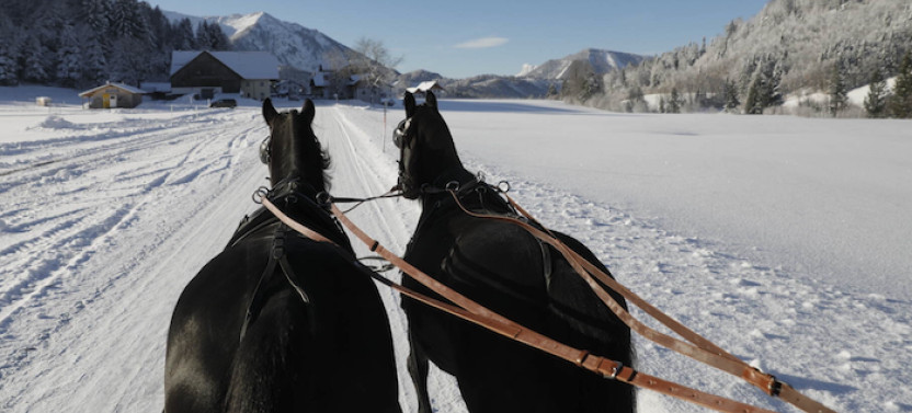 Alpine Horse Carriage Ride from Salzburg